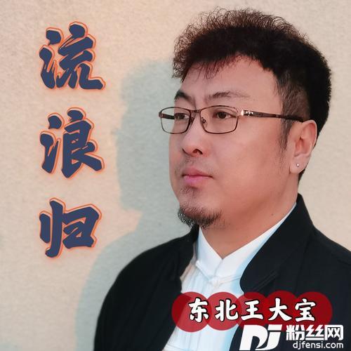 流浪归的专辑