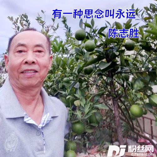 有一种思念叫永远