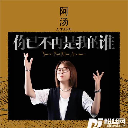 你已不再是我的谁
