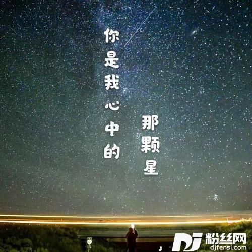你是我心中的那颗星