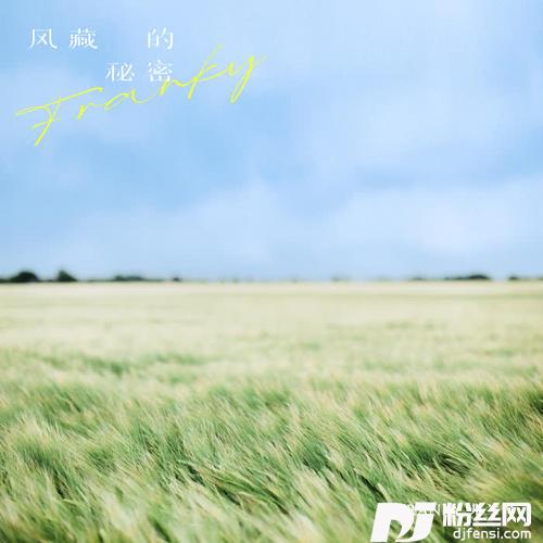 风藏的秘密