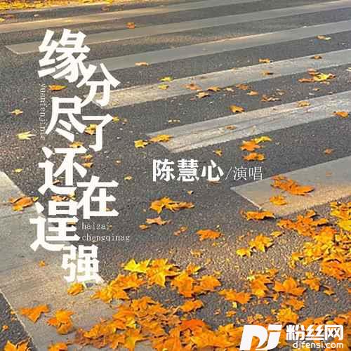 缘分尽了还在逞强DJ默涵版