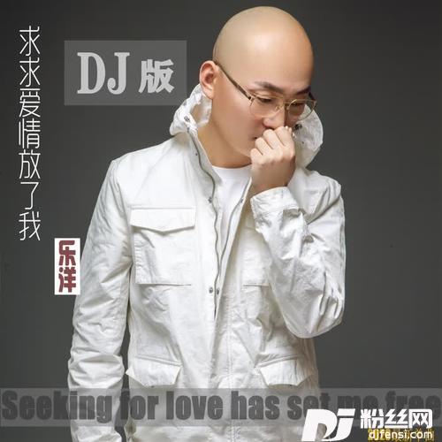 求求爱情放了我DJ版