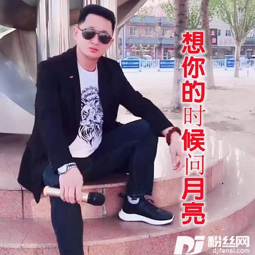 想你的时候问月亮cover:一只舟的专辑