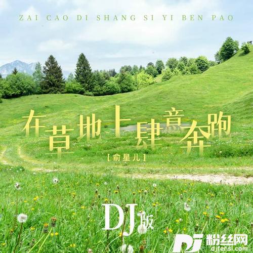 在草地上肆意奔跑DJ版