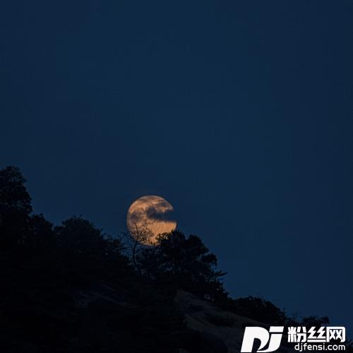 痴情冢（女版）《晴雅集》电影片尾曲cover:邓伦的专辑