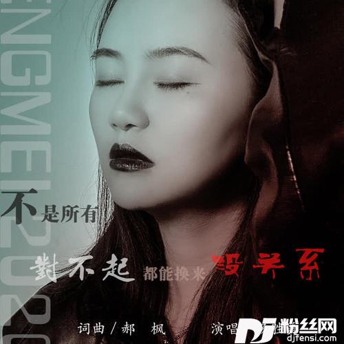 不是所有对不起都能换来没关系的专辑