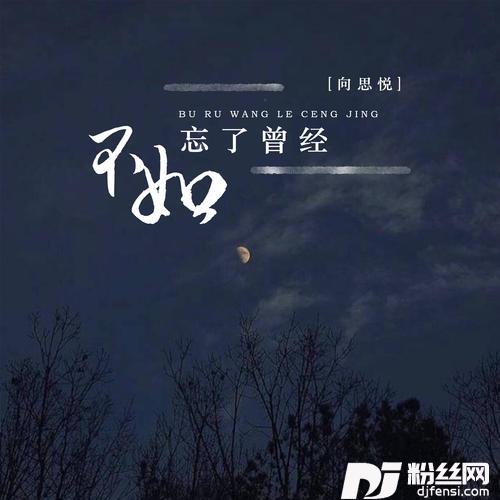 不如忘了曾经的专辑