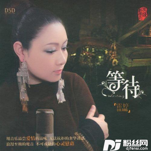 寂寞犯的错