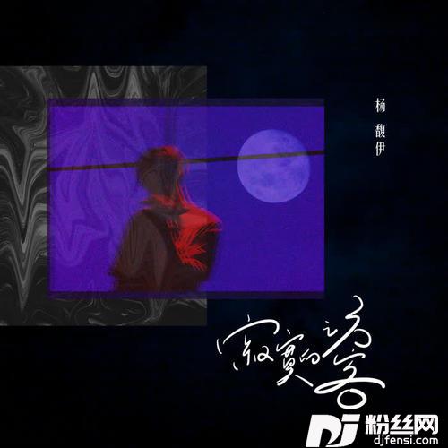 寂寞的访客