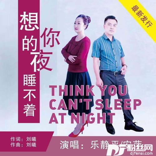 想你的夜睡不着对唱版