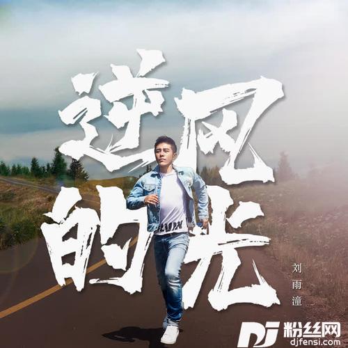 逆风的光的专辑