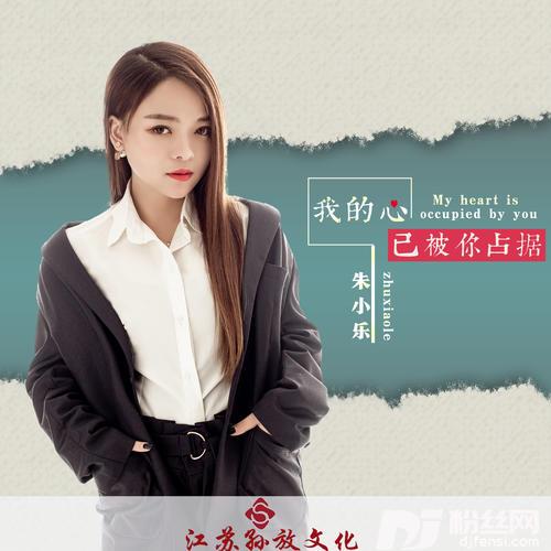 我的心已被你占据DJ版