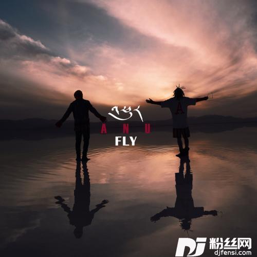 FLY-飞