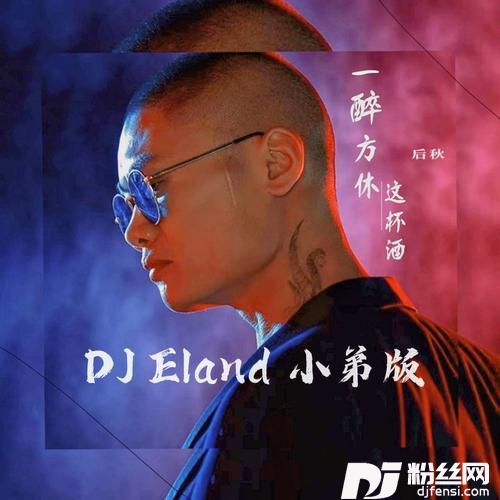 一醉方休这杯酒DJEland小弟remix