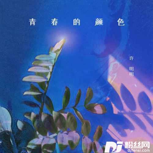 青春的颜色