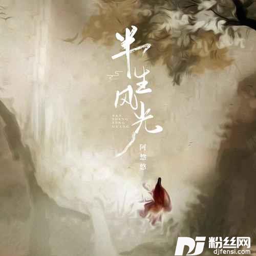 半生风光DJ阿卓版