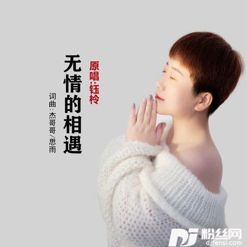 无情的相遇（DJ版）