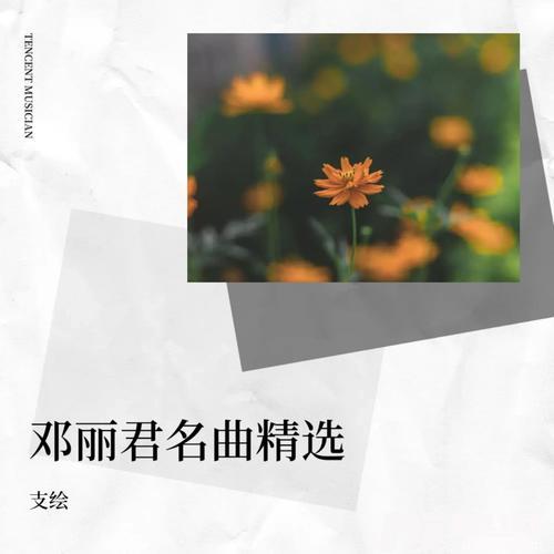 相见在明天cover:邓丽君