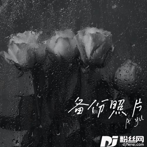 备份照片cover:缩肥鸭的专辑
