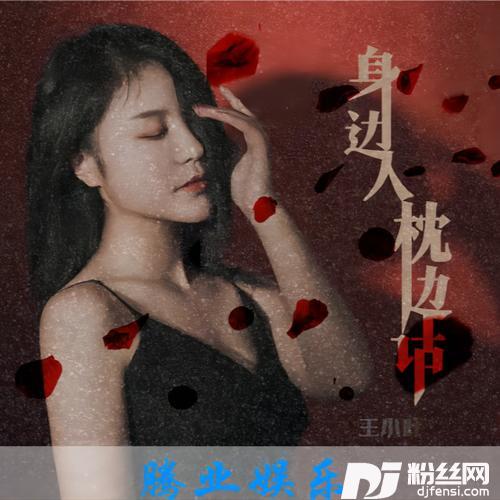 身边人枕边话DJ版