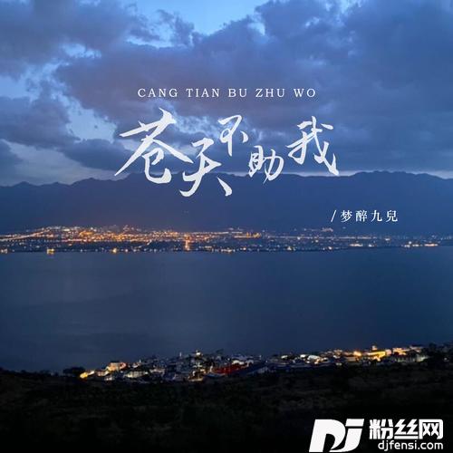 苍天不助我DJ彭锐版