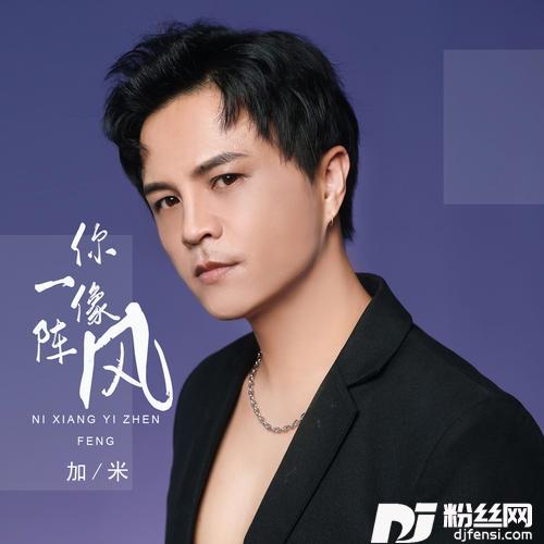 你像一阵风的专辑