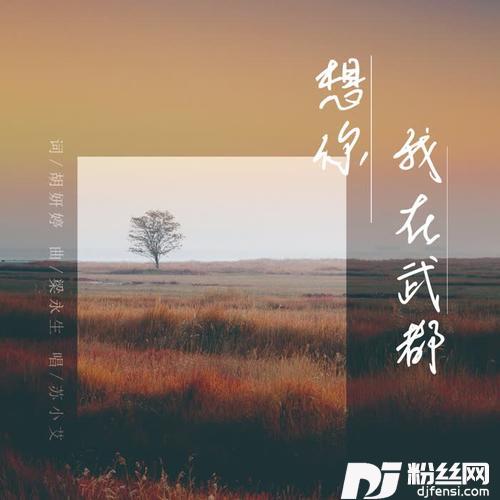 我在武都想你的专辑