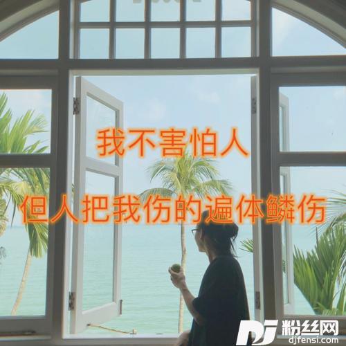 我不害怕人，但人把我伤的遍体鳞伤