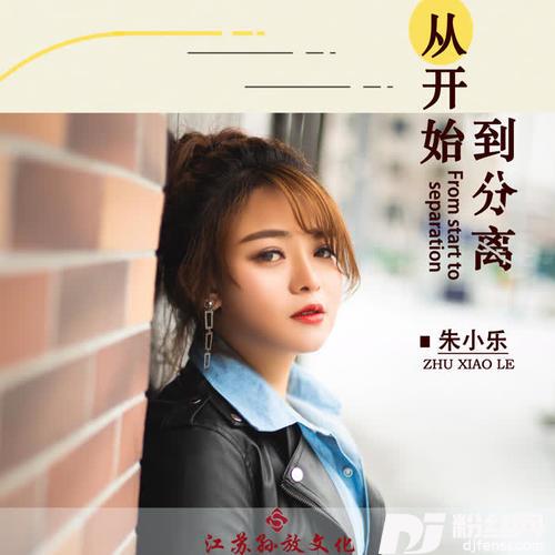 从开始到分离DJ版的专辑