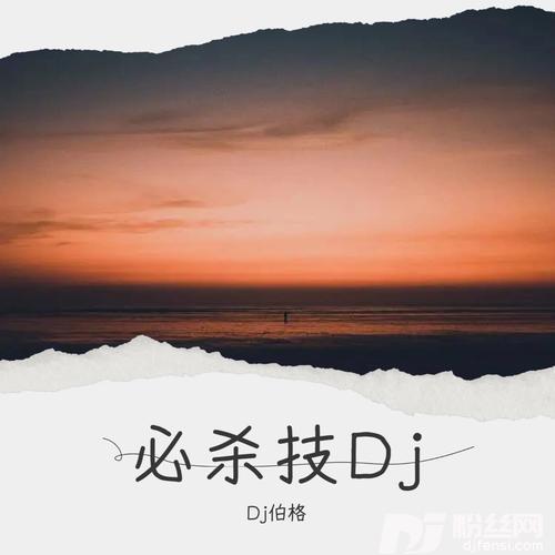 必杀技Dj伯格remix