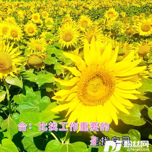 追光的人