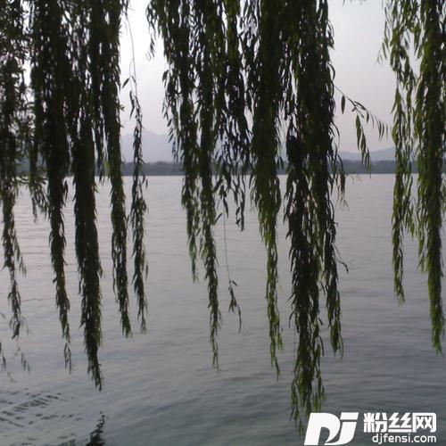 青山一别cover:海来阿木的专辑