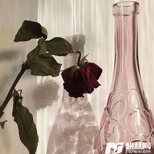 未出现传闻cover:胡66的专辑