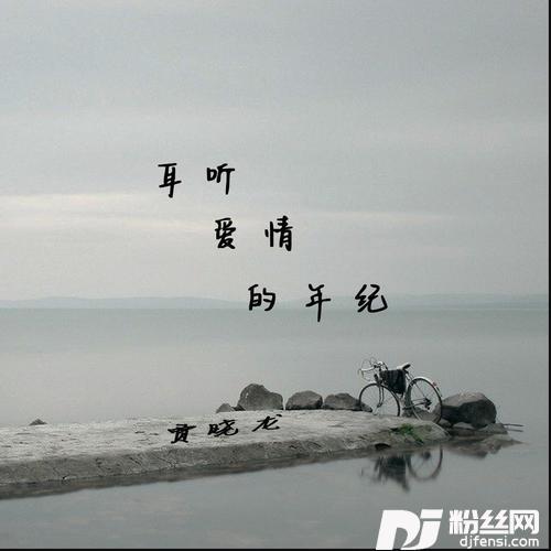 耳听爱情的年纪
