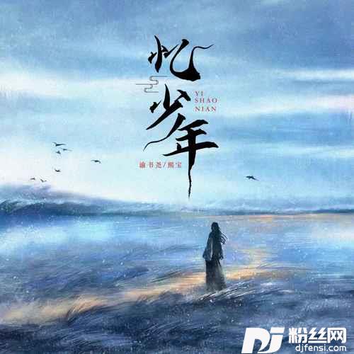 忆少年