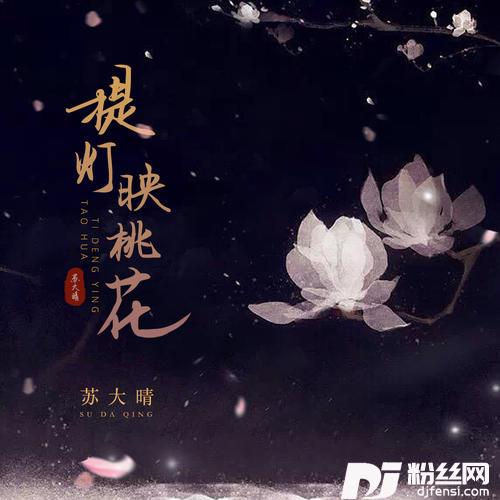 提灯映桃花的专辑