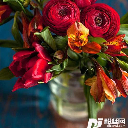 一个多情又无情的人cover:花姐