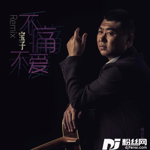 不痛不爱DJ伟然越南鼓Remix