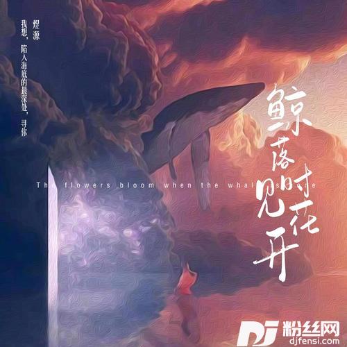 鲸落时见花开