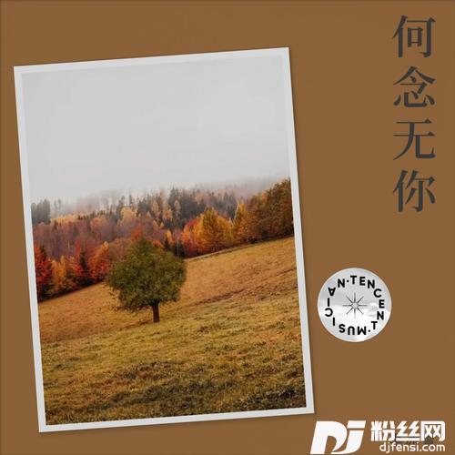 何念无你