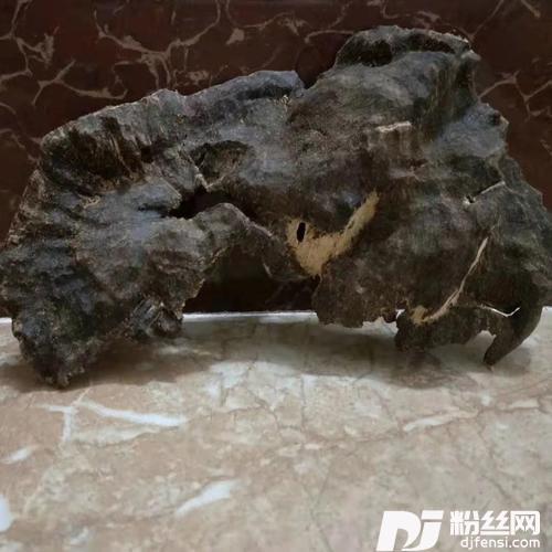 雨中情思其他