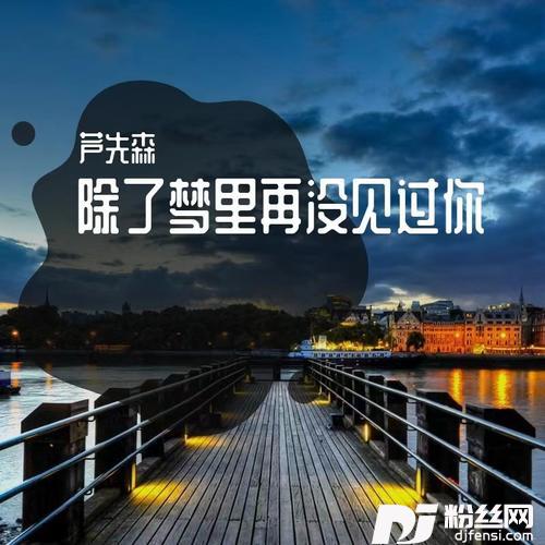 除了梦里再没见过你快四广场舞版的专辑