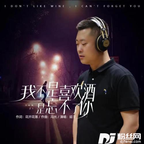 我不是喜欢酒是忘不了你