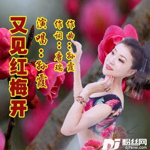 又见红梅开