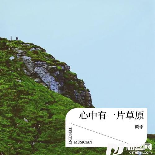 心中有一片草原的专辑图片