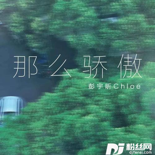 那么骄傲的专辑