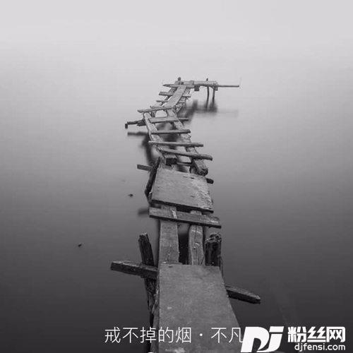 戒不掉的烟（DJ版）