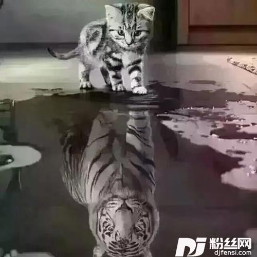 继续做梦