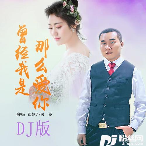 曾经我是那么爱你DJ版